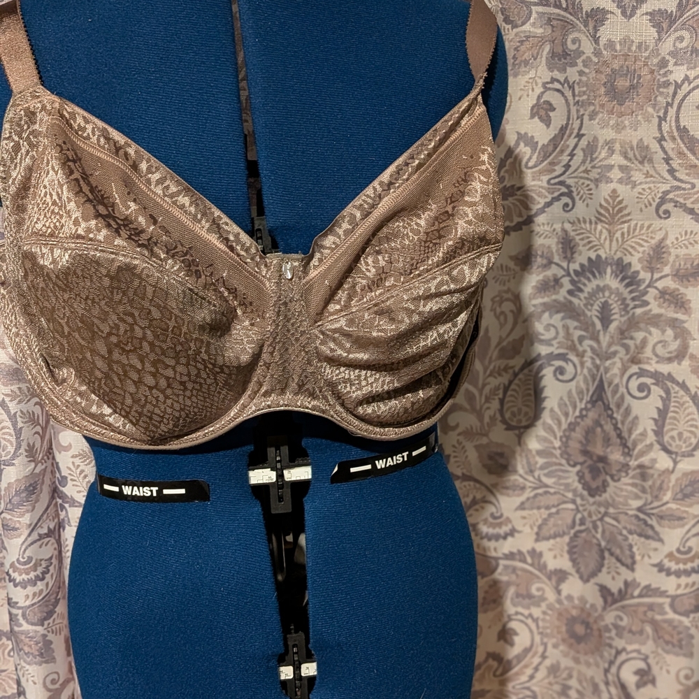 Fantasie Taupe Lace Bra